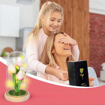 Kép Világító tulipánok üvegkupolában