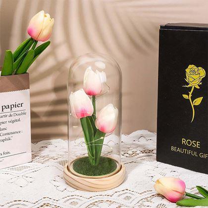 Kép valamiből Világító tulipánok üvegkupolában