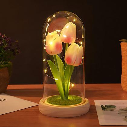 Kép valamiből Világító tulipánok üvegkupolában