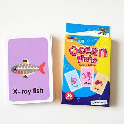 Kép valamiből 36 darabos angol nyelvű oktatókártya készlet -  tengeri állatok