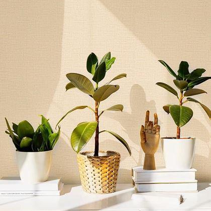 Kép valamiből Vinyl öntapadós tapéta 300 cm  -  bézs