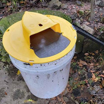 Kép valamiből Vödör fedél egérfogóval