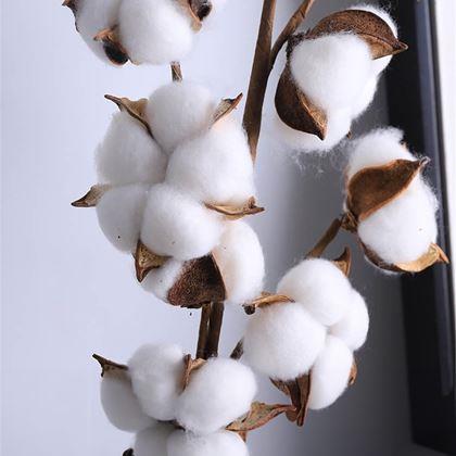 Kép valamiből Műpamut ág 50 cm