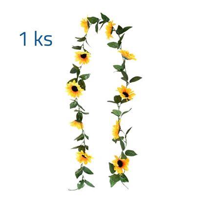 Kép valamiből Füzér napraforgókkal