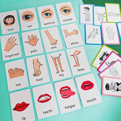 Kép valamiből 36 darabos angol nyelvű oktatókártya készlet -  a test részei