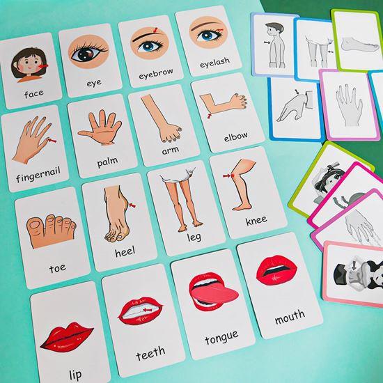 Kép valamiből 36 darabos angol nyelvű oktatókártya készlet -  a test részei