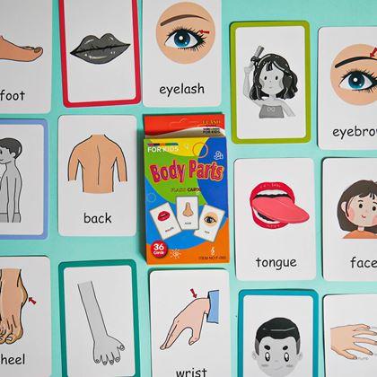 Kép valamiből 36 darabos angol nyelvű oktatókártya készlet -  a test részei