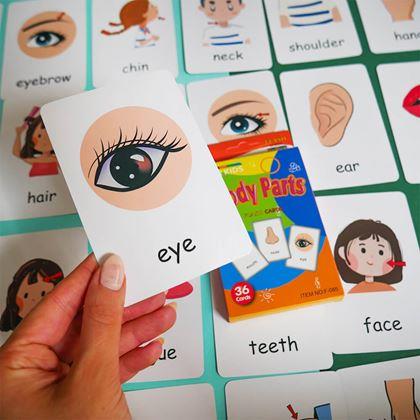 Kép valamiből 36 darabos angol nyelvű oktatókártya készlet -  a test részei