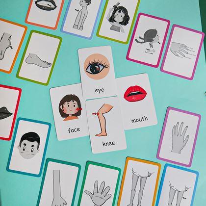 Kép valamiből 36 darabos angol nyelvű oktatókártya készlet -  a test részei