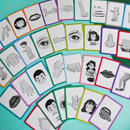 Kép valamiből 36 darabos angol nyelvű oktatókártya készlet -  a test részei