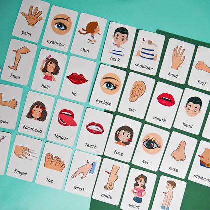 Kép valamiből 36 darabos angol nyelvű oktatókártya készlet -  a test részei