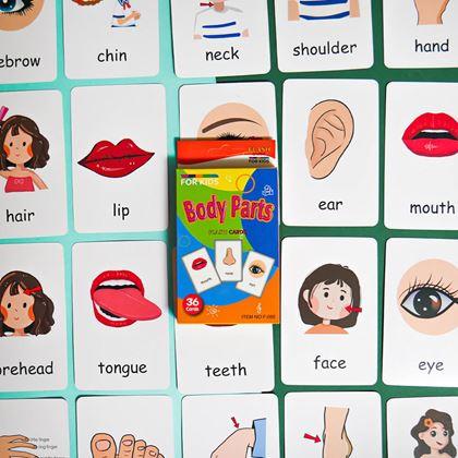 Kép valamiből 36 darabos angol nyelvű oktatókártya készlet -  a test részei