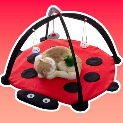 Kép valamiből Játszó alátét macskáknak