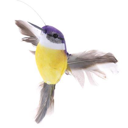 Kép valamiből Macskajáték – repülő kolibri