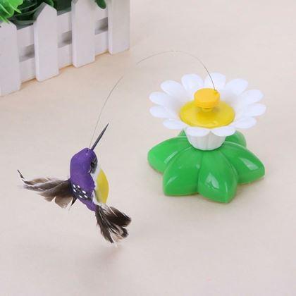 Kép valamiből Macskajáték – repülő kolibri