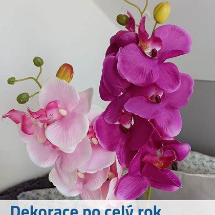 Kép valamiből Műorchidea virágok - világos lila