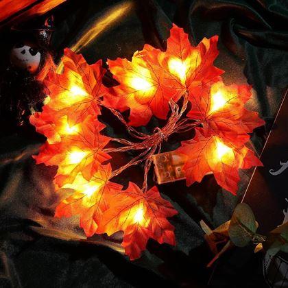 Kép valamiből LED fényekkel díszített őszi lombos fényfüzér