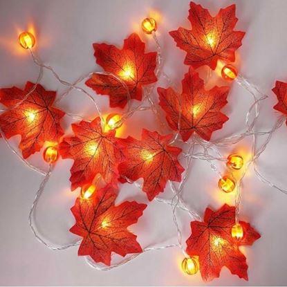 Kép LED fényekkel díszített őszi lombos fényfüzér