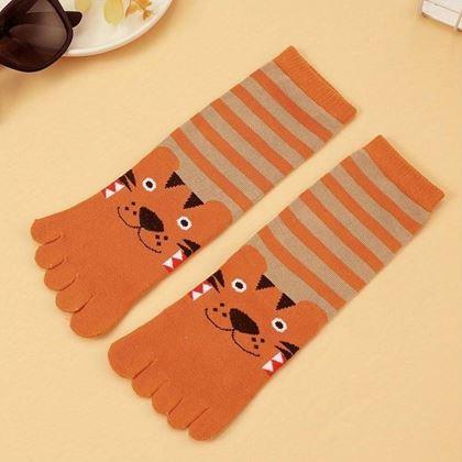 Kép valamiből Gyerek lábujjas zokni - méret: 15-19 cm - tigriske