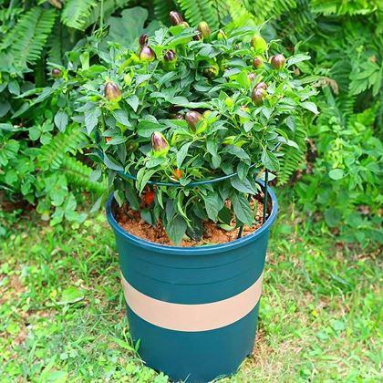 Kép valamiből 2 db fém növénytámasz - 35 cm