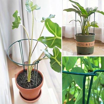 Kép valamiből Fém növénytámasz 2 db 35 cm
