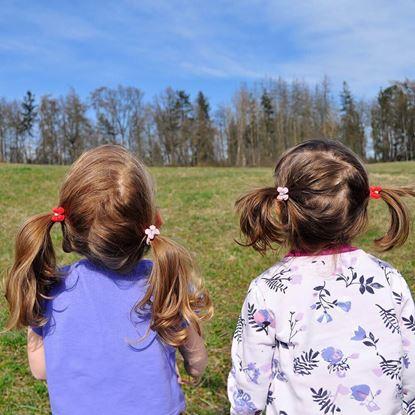 Kép Gyerek hajgumik 10 db 