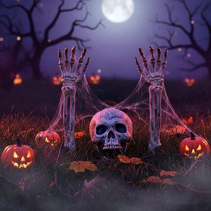 Kép valamiből Kerti dekoráció - csontváz