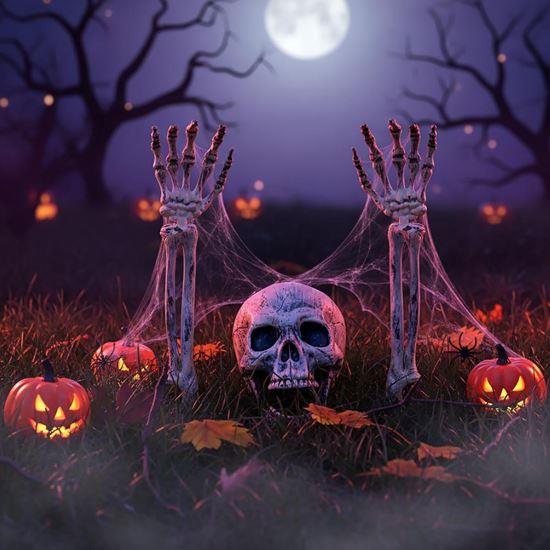 Kép valamiből Kerti dekoráció - csontváz