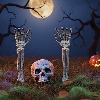 Kép valamiből Kerti dekoráció - csontváz