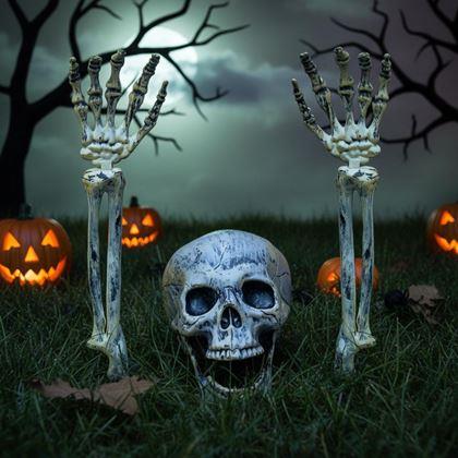 Kép valamiből Kerti dekoráció - csontváz