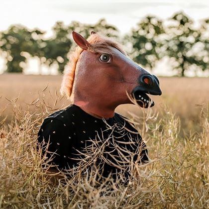 Kép valamiből Lófej maszk