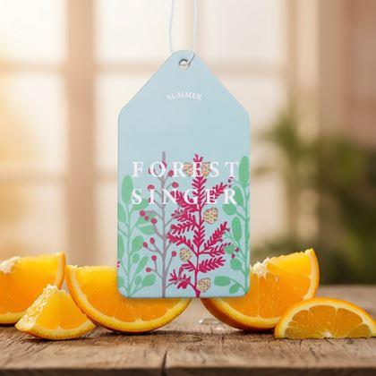 Kép valamiből Autóillatosító aroma - narancs