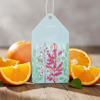 Kép valamiből Autóillatosító aroma - narancs