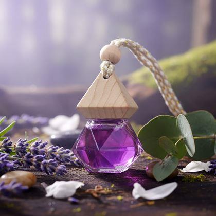 Kép valamiből Illatfiola autóba - lila