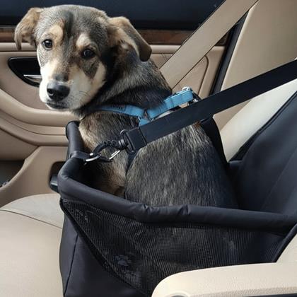 Kép valamiből Autóülés kedvencek részére