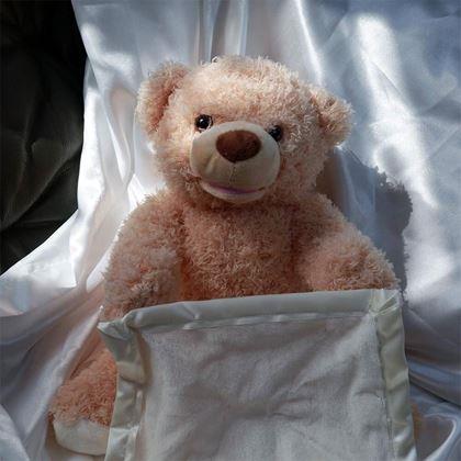 Kép valamiből Interaktív beszélő mackó