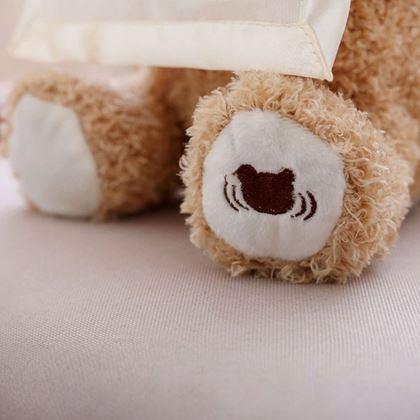 Kép valamiből Interaktív beszélő mackó