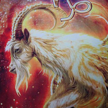 Kép valamiből Párnahuzat állatövi jegyekkel - bak