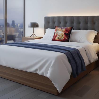 Kép valamiből Párnahuzat állatövi jegyekkel - bak