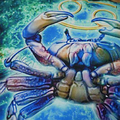 Kép valamiből Párnahuzat állatövi jegyekkel - rák