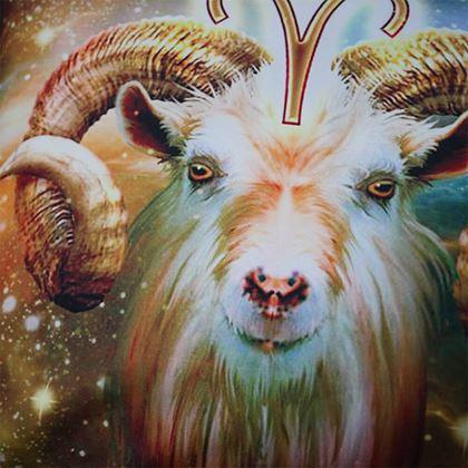 Kép valamiből Párnahuzat állatövi jegyekkel - kos