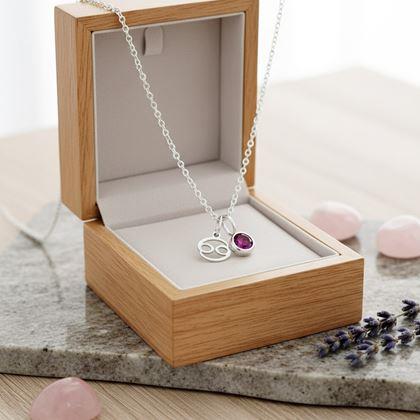 Kép valamiből Zodiákus jegyes medálos nyaklánc - Rák