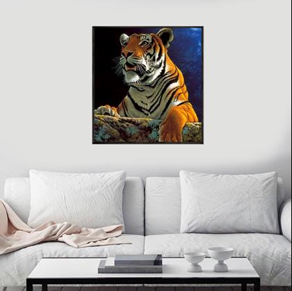 Kép valamiből Diamantové malování basic - tygr