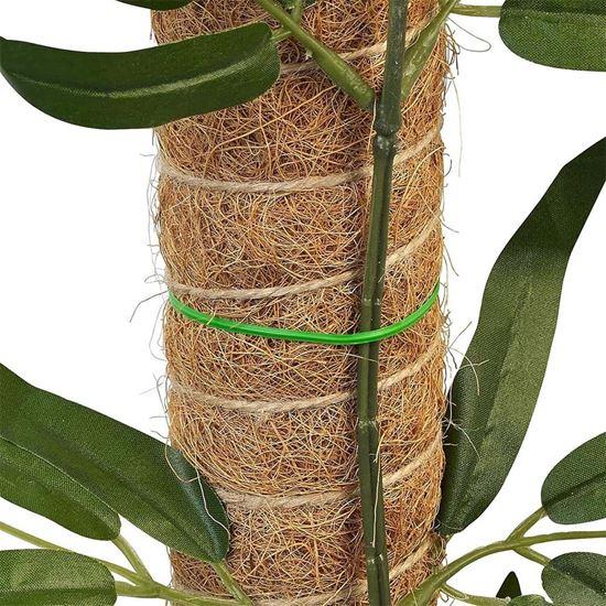 Kép valamiből Futónövény-támasz