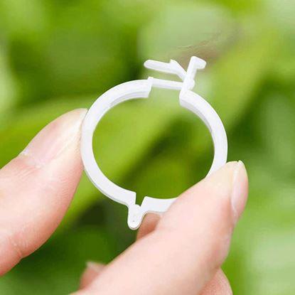 Kép Növényrögzítő klipszek/szalagok 50 db