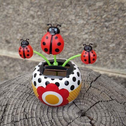 Kép valamiből Napelemes virág  - katicabogár