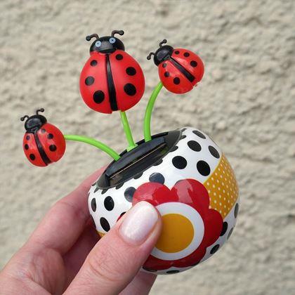 Kép valamiből Napelemes virág  - katicabogár