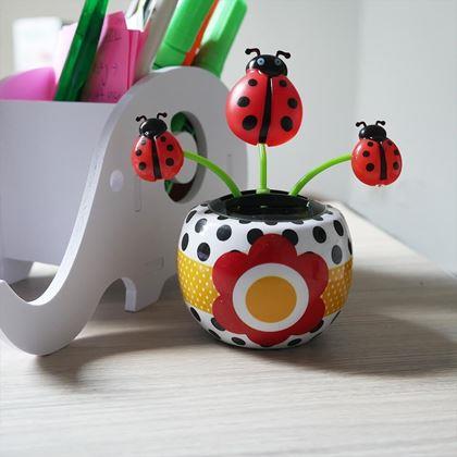 Kép valamiből Napelemes virág  - katicabogár