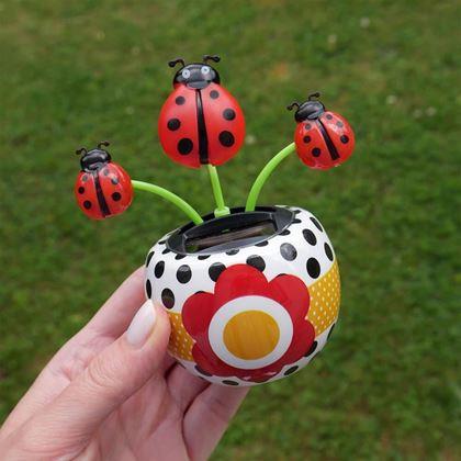 Kép valamiből Napelemes virág  - katicabogár