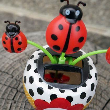 Kép valamiből Napelemes virág  - katicabogár